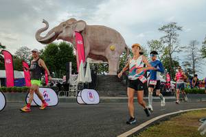 BIB: 
                            <button type="button" onclick="openModal(26528519)" class="btn btn-primary btn-sm float-right btn-popup" data-toggle="modal" data-target=".modal-high-quality">
                        <i class="fas fa-shopping-cart"></i> Add to Cart
                    </button>
                                            <button type="button" onclick="isThisMe(26528519, true)" class="btn btn-success btn-sm float-right btn-popup btn-isme hidden" data-toggle="tooltip" data-placement="bottom" title="นี่คือรูปของคุณใช่ไหม คลิกที่นี่เพื่อเอาเข้าอัลบั้ม">
                        <i class="fas fa-plus"></i> Add to album
                    </button>
                    <button type="button" onclick="isThisMe(26528519, false)" class="btn btn-warning btn-sm float-right btn-popup btn-isnotme hidden">
                        <i class="fas fa-ban"></i> Remove from album
                    </button>